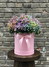 Цветочная композиция из Гипсофила и Розы в шляпной коробке #REPLACE_PRED# Проводник