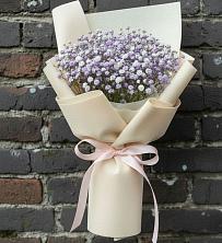 Букет цветов из:  Гипсофила в Проводник