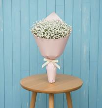 Букет цветов из:  Гипсофила в Проводник