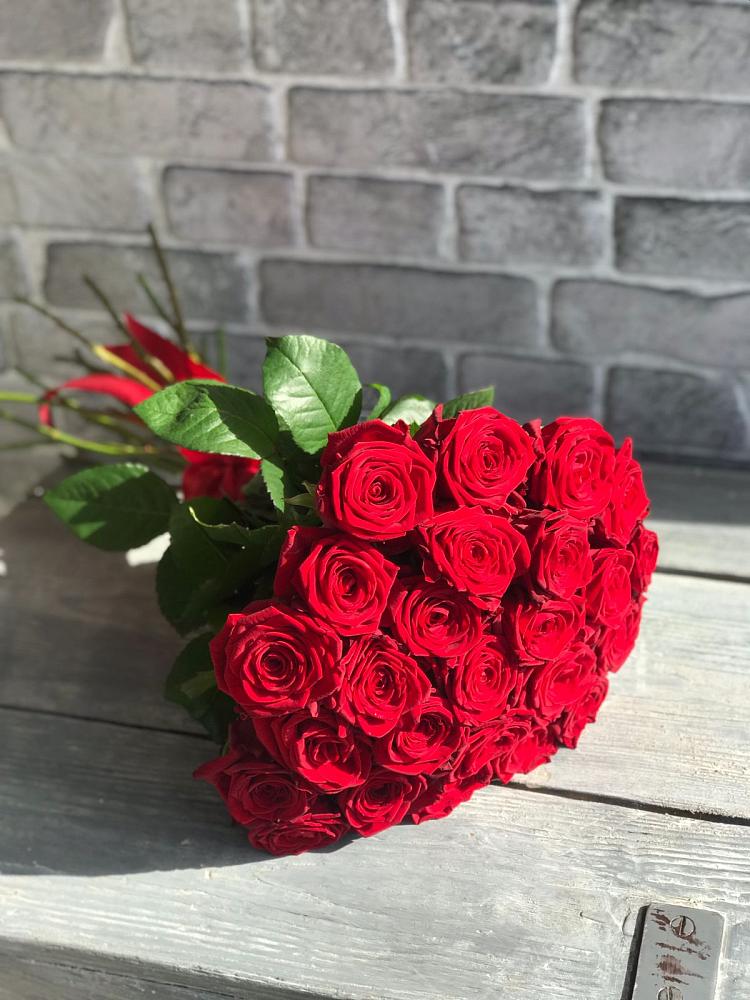 Букет Красные розы Фридом в Проводник