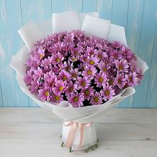 Букет цветов из:  Хризантемы #REPLACE_PRED# Проводник