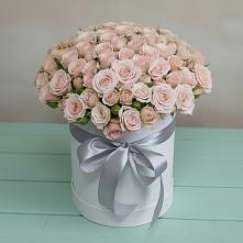 Цветочная композиция из Розы в шляпной коробке в Проводник