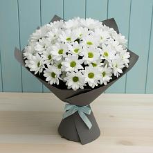 Букет цветов из:  Хризантемы в Проводник