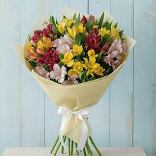 Букет цветов из:  Альстромерии #REPLACE_PRED# Проводник
