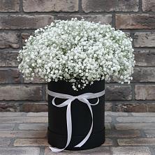 Цветочная композиция из Гипсофила в шляпной коробке в Проводник