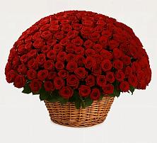 Премиум букет из: Розы в Проводник