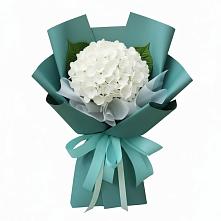 Букет цветов из:  Гортензия в Проводник